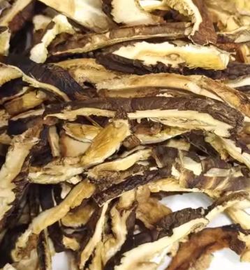DRIED SHREDDED SHIITAKE MUSHROOM  金禾 冬菇絲(3-5CM)