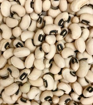 EAST DRAGON STRING BEAN 東龍 眉豆 (12 OZ)