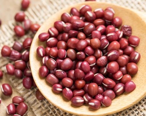 RED BEAN 中國 紅豆 (50 LB)