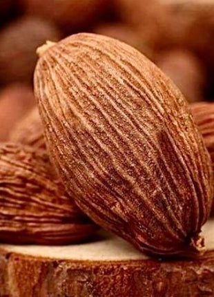 DRIED TSAOKO AMOMUM FRUIT (CAO GUO) 美其利  草果(16 OZ)