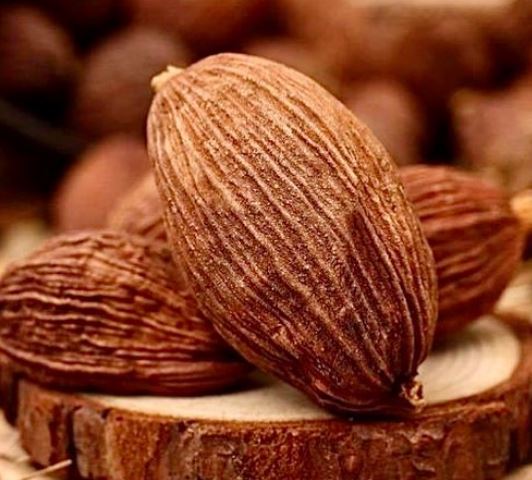 DRIED TSAOKO AMOMUM FRUIT (CAO GUO) 美其利  草果(16 OZ)