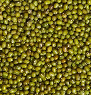 HUNSTY SPROUTING MUNG BEAN 合時 有衣綠豆（50 LB）