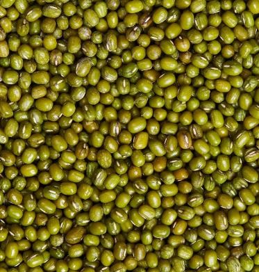 HUNSTY SPROUTING MUNG BEAN 合時 有衣綠豆（50 LB）